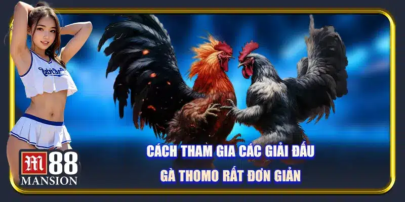 Cách tham gia các giải đấu gà thomo rất đơn giản
