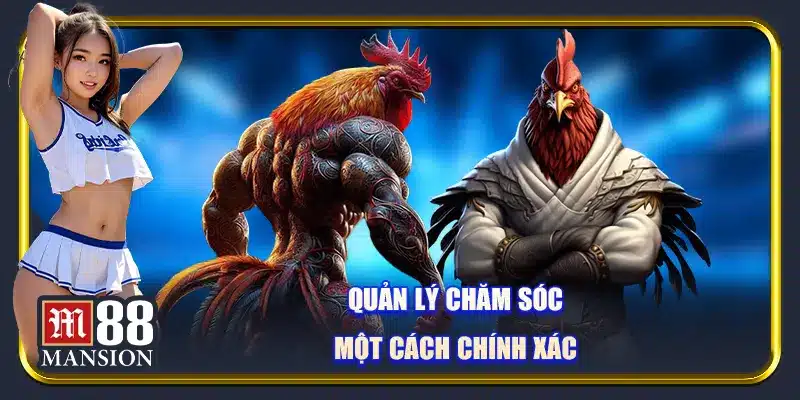 Quản lý chăm sóc một cách chính xác 